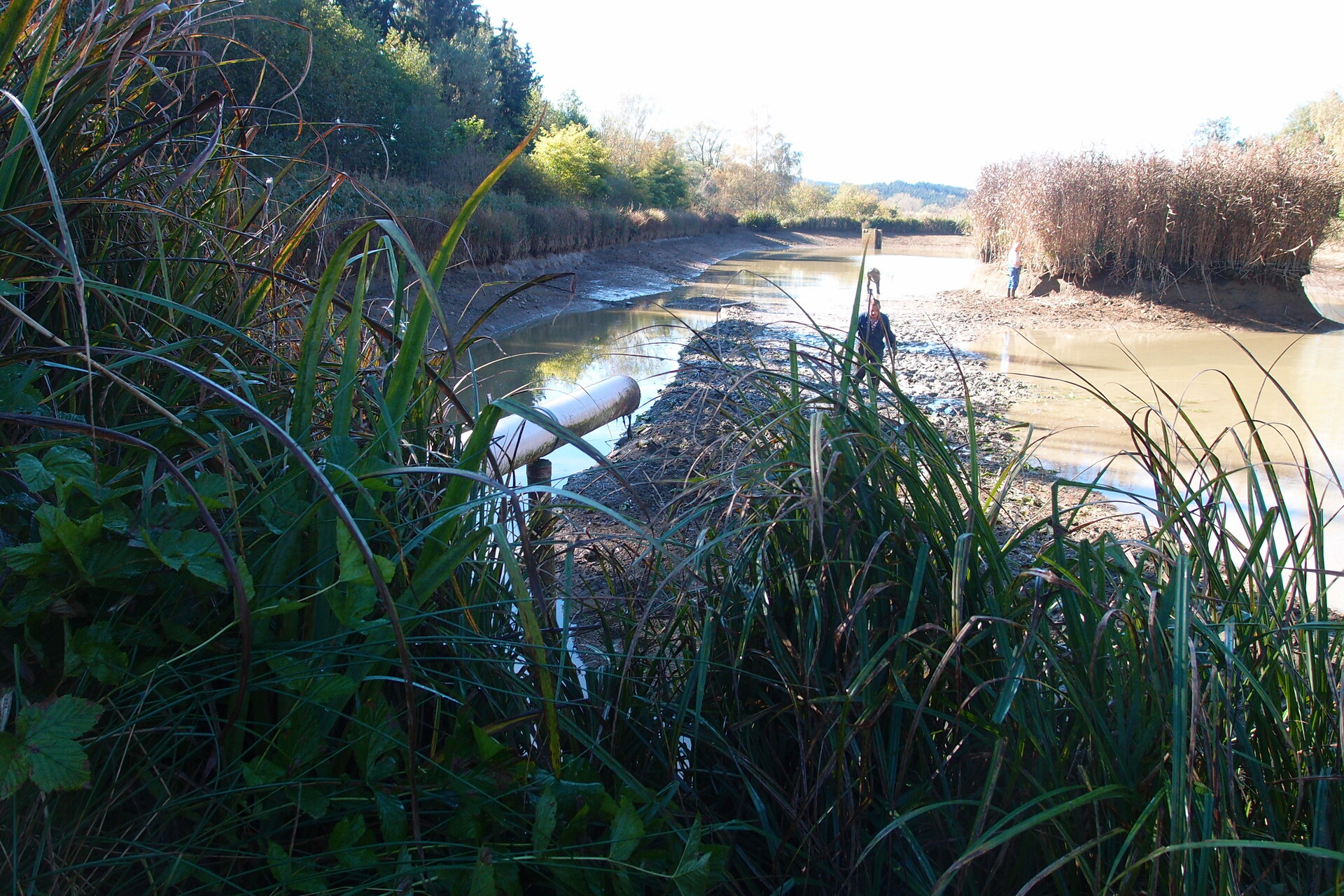 Galeriebild: PA183142